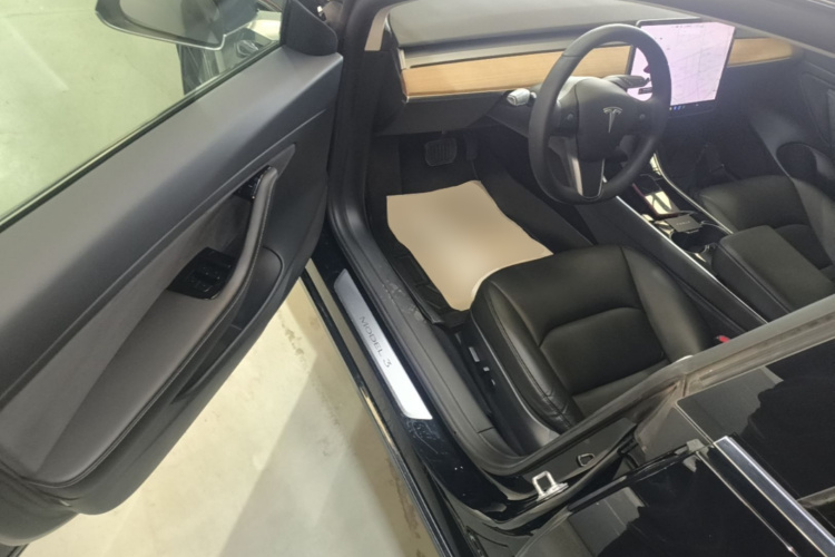 Tesla Model 3 2020 car image #16