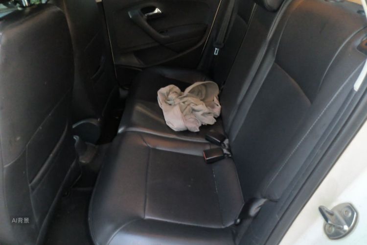 Volkswagen Polo 2016 car image #19