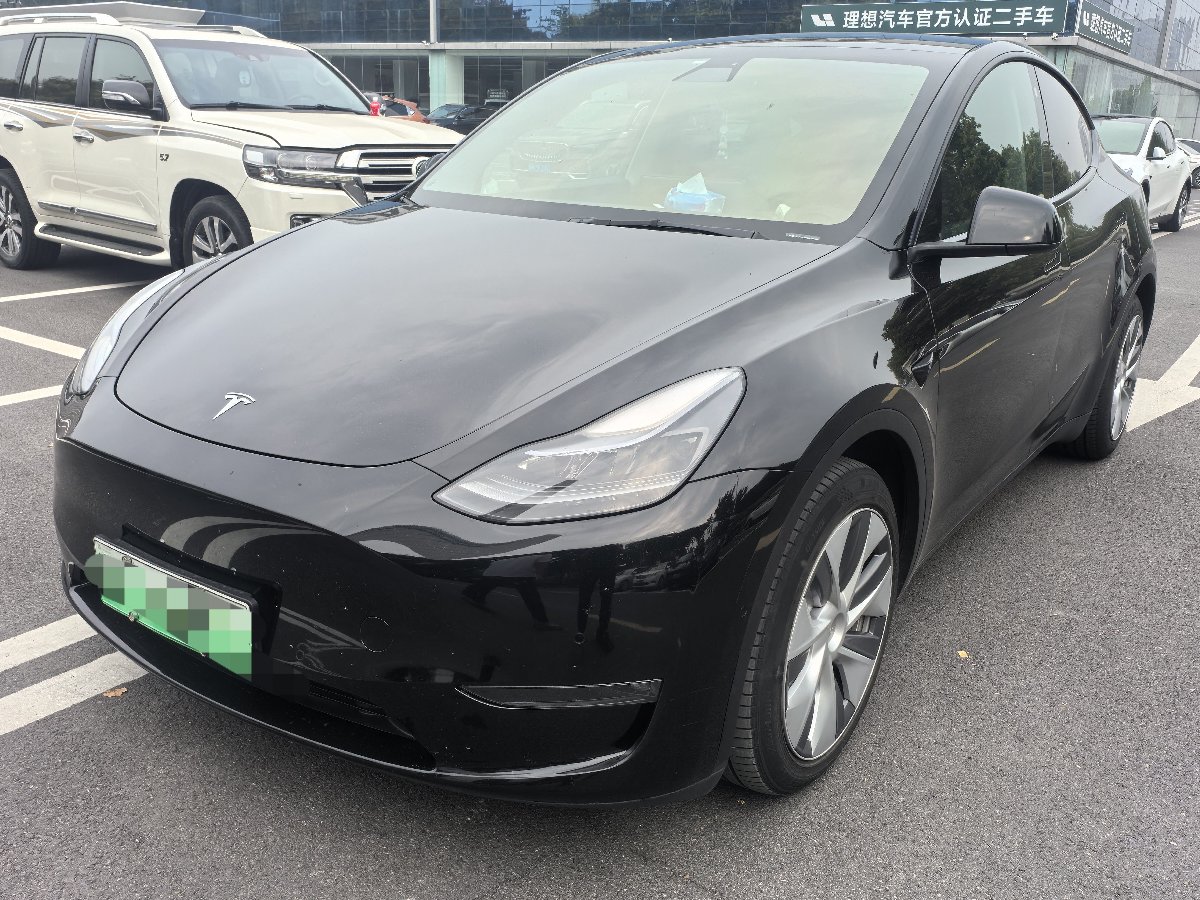 Tesla Model Y 2022 car image 
