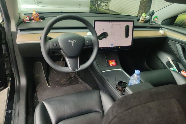 Tesla Model 3 2021 car image #11