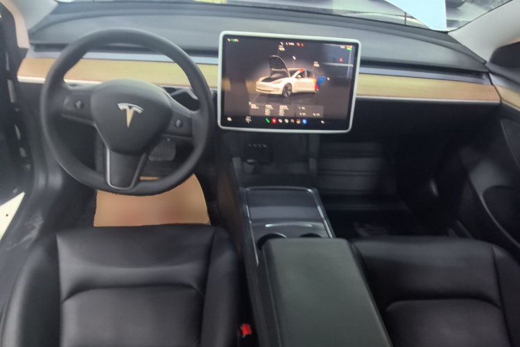 Tesla Model 3 2022 car image #10