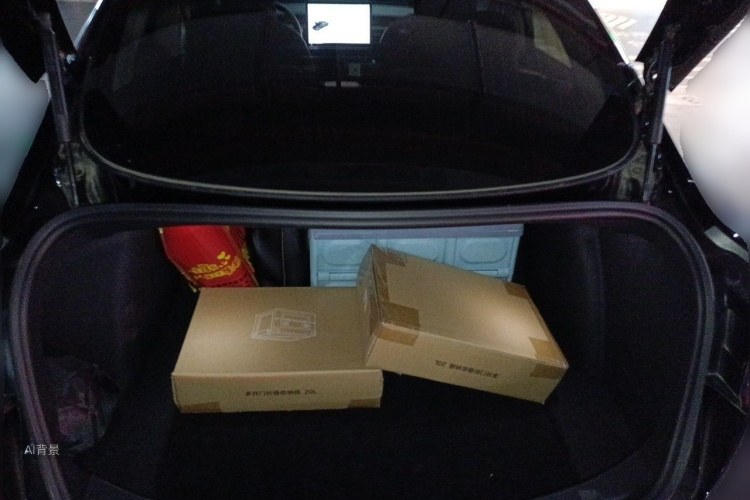 Tesla Model 3 2020 car image #21