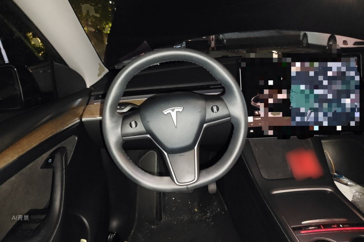 Tesla Model Y 2021 car image #12