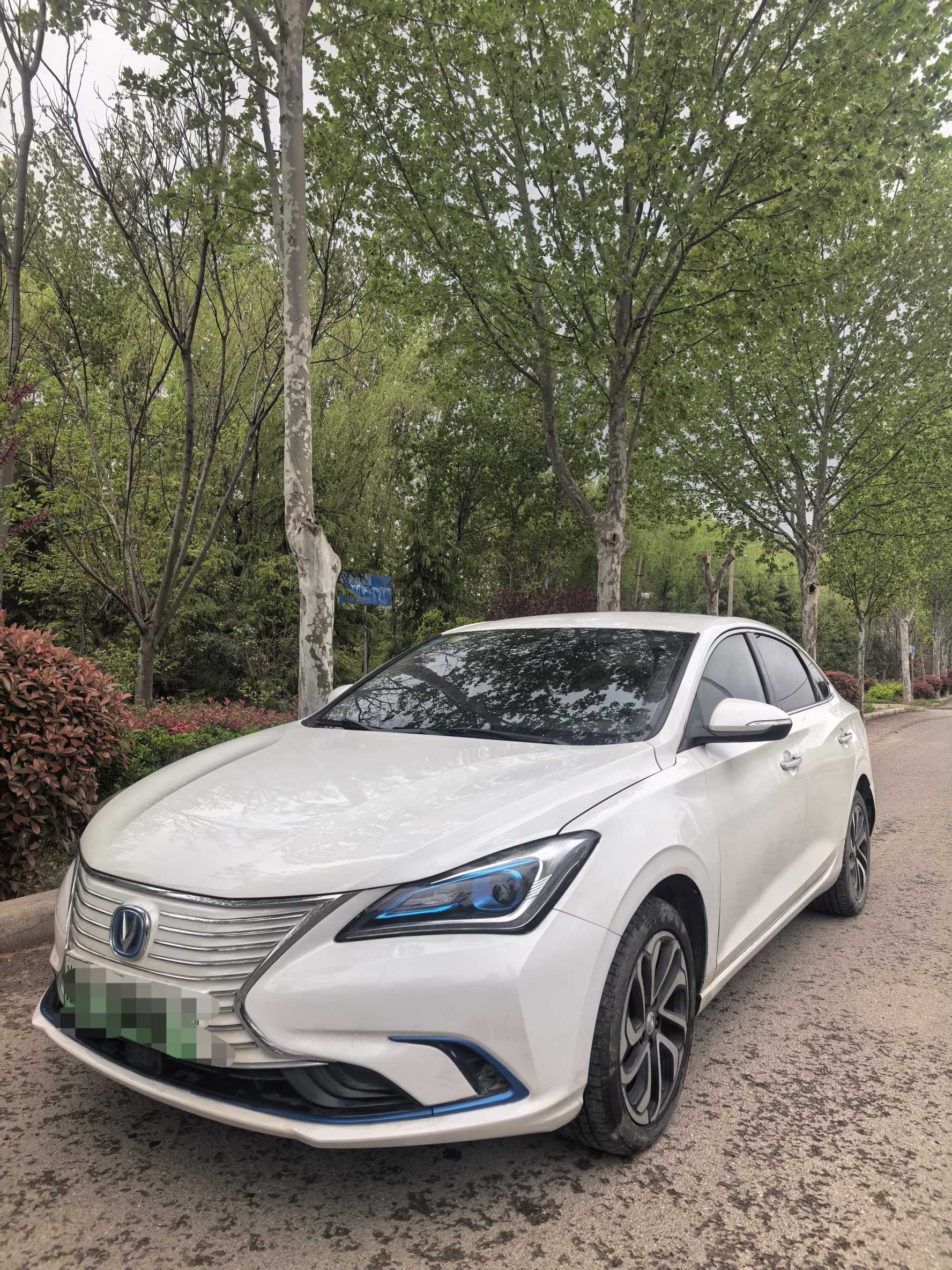 GEELY Emgrand New Energy 2020 car image 