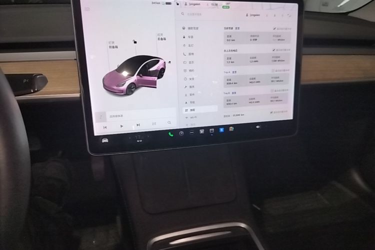 Tesla Model 3 2021 #13 Tesla Model 3 2021 immagine di auto #13