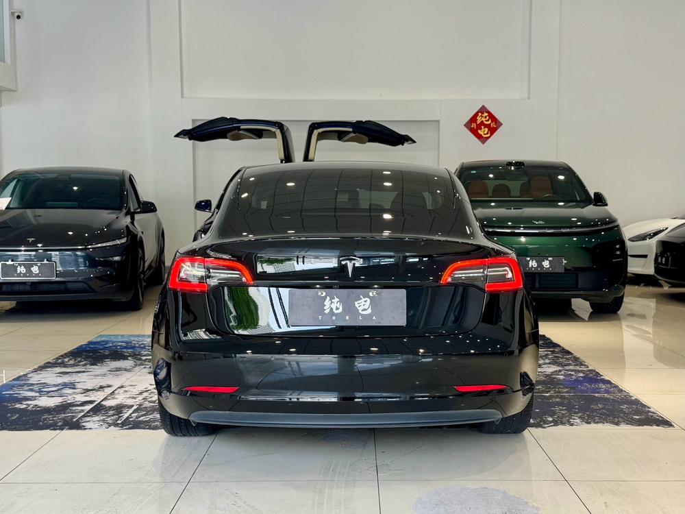 Tesla Model 3 2020 #6 Tesla Model 3 2020 car image #6