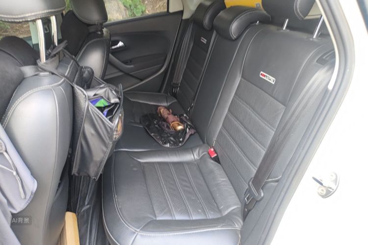 Volkswagen Polo 2015 car image #19