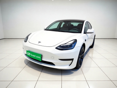 Tesla Model 3 2022 car image 