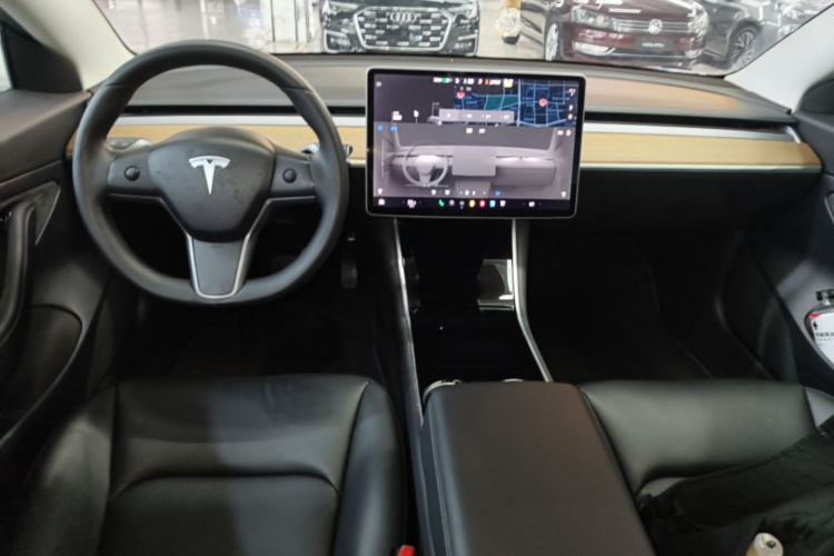 Tesla Model 3 2020 immagine di auto #10