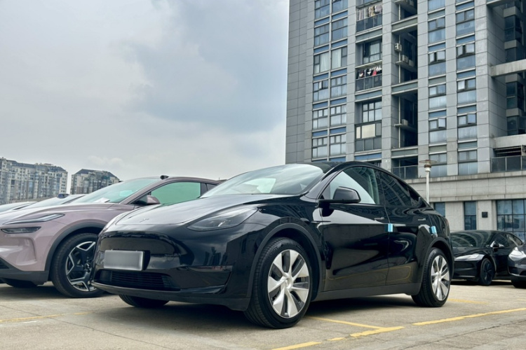 Tesla Model Y 2023 car image #2