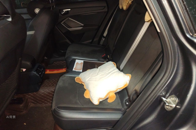 Audi Q3 2021 car image #19