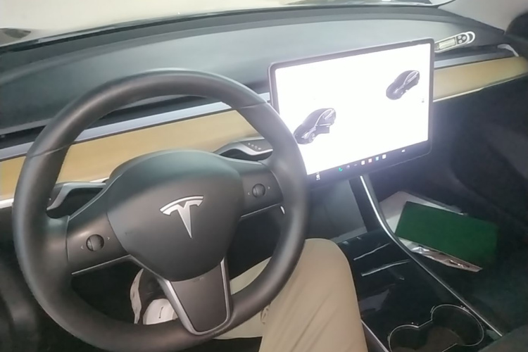Tesla Model 3 2020 car image #10