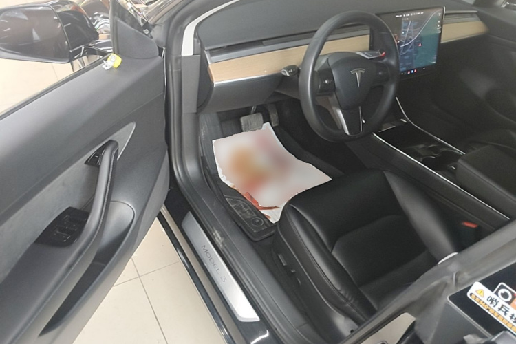 Tesla Model 3 2020 car image #16