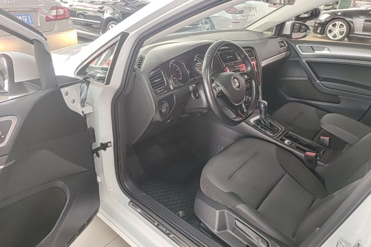 Volkswagen Golf 2019 car image #16