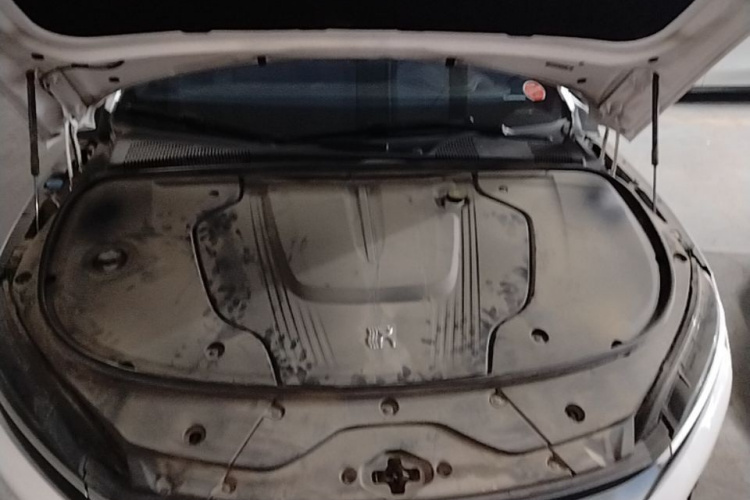 BYD Han 2021 car image #22