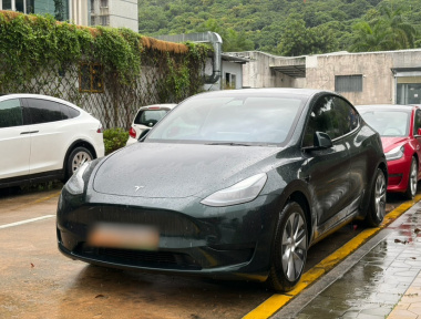 Tesla Model Y 2023 car image 