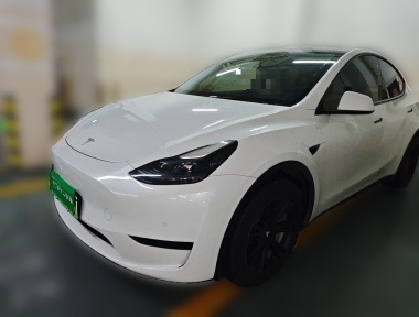 Tesla Model Y 2023 car image 