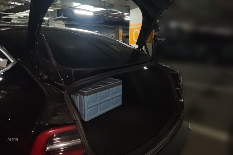 Tesla Model 3 2020 car image #21
