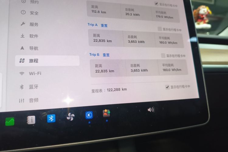 Tesla Model 3 2021 car image #16