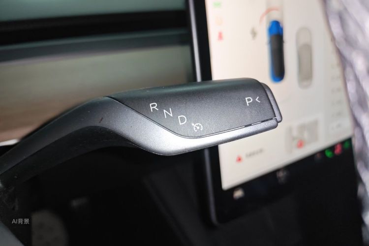 Tesla Model 3 2021 immagine di auto #16