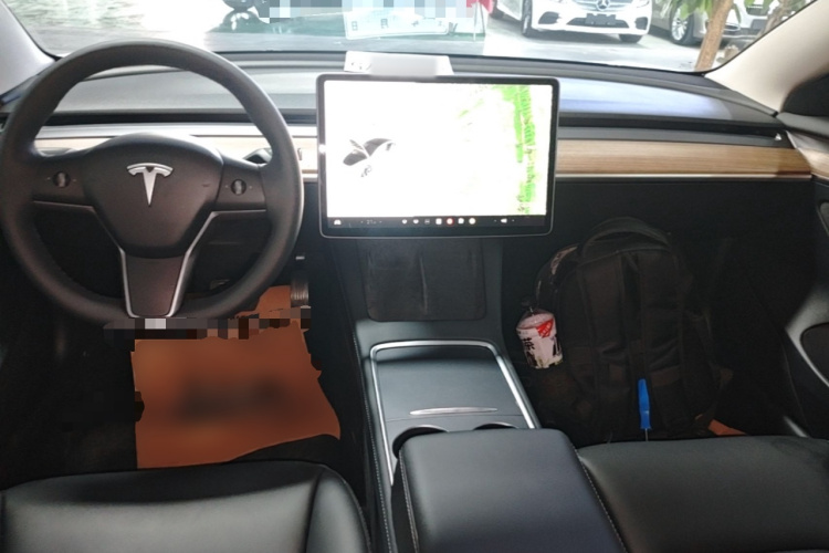 Tesla Model 3 2021 car image #11