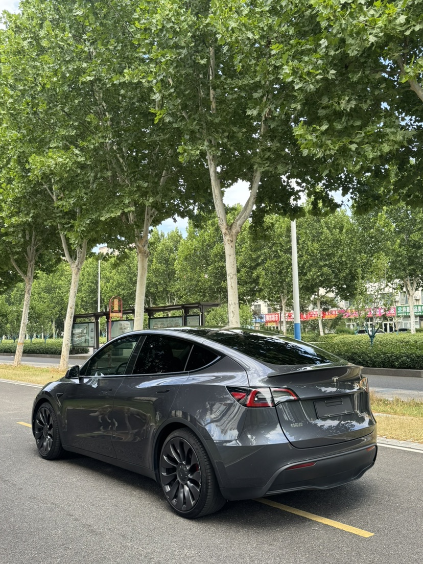 Tesla Model Y 2023 car image #7