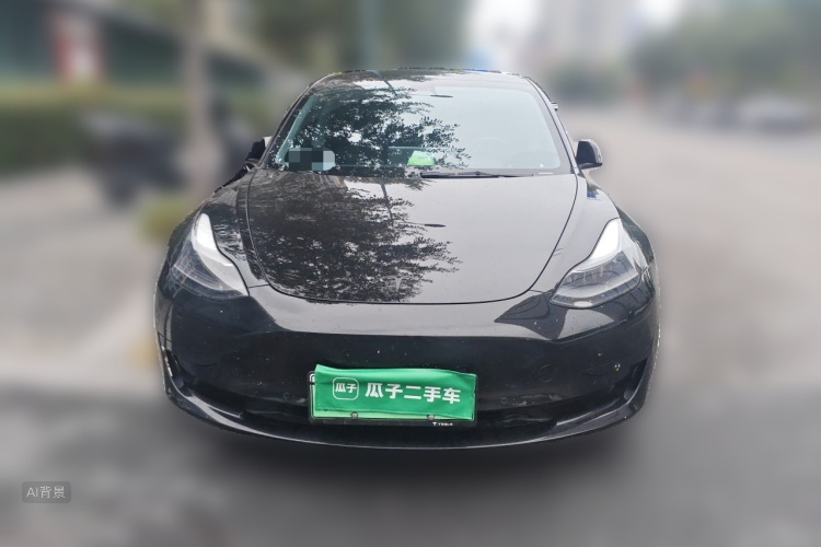 Tesla Model 3 2021 #3 Tesla Model 3 2021 car image #3