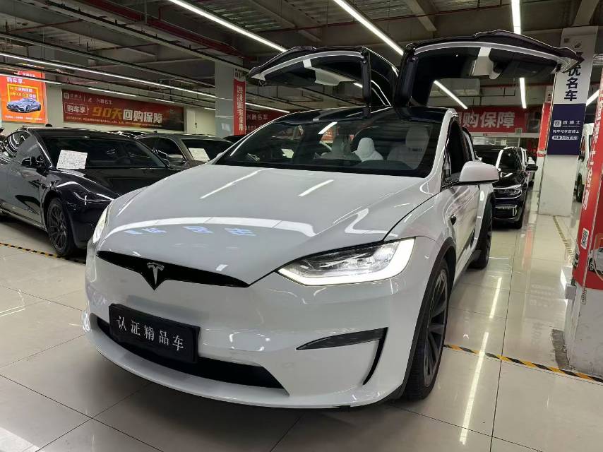 Tesla Model X 2023 car image 