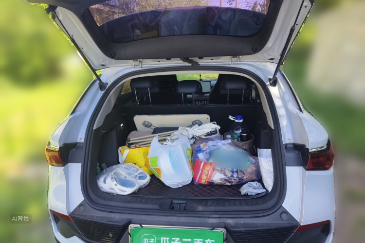 BYD Yuan Plus 2022 car image #21