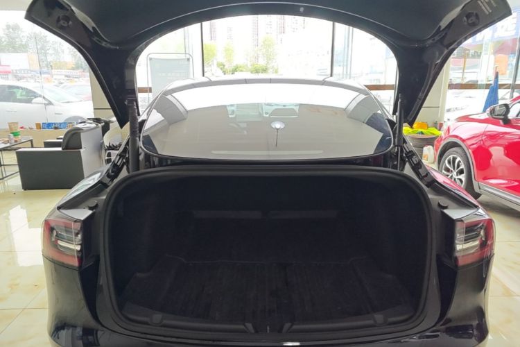Tesla Model 3 2022 car image #19