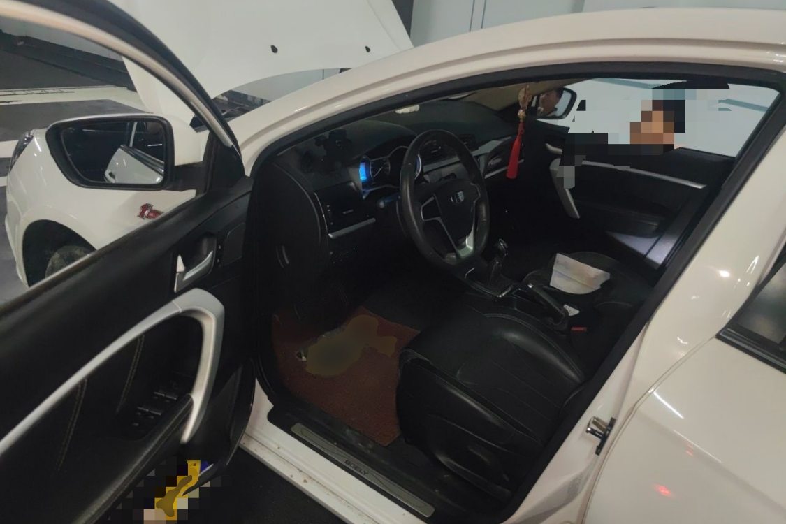 GEELY Emgrand 2016 car image #25