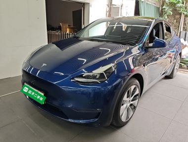 Tesla Model Y 2021 Tesla Model Y 2021 car image