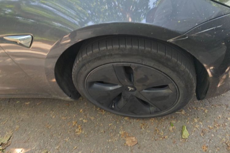 Tesla Model 3 2020 car image #6