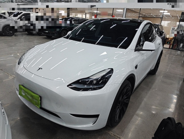 Tesla Model Y 2021 Tesla Model Y 2021 car image