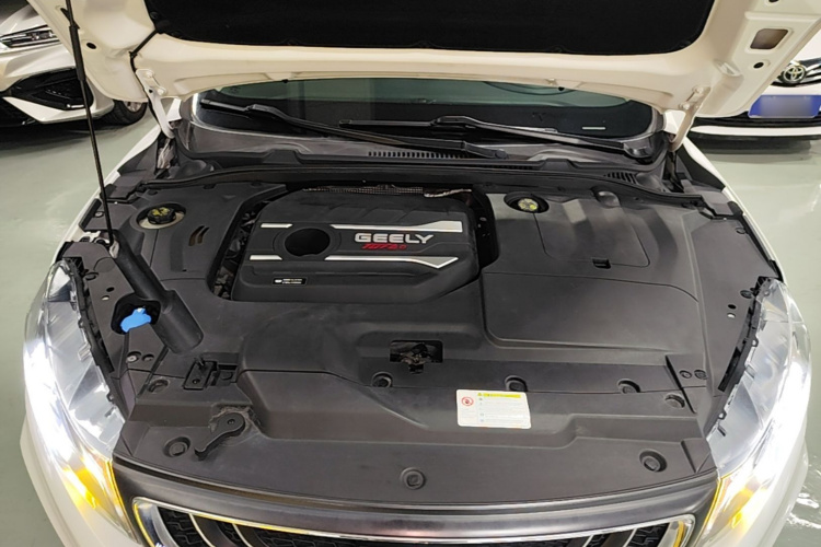 GEELY Emgrand GL 2020 car image #20