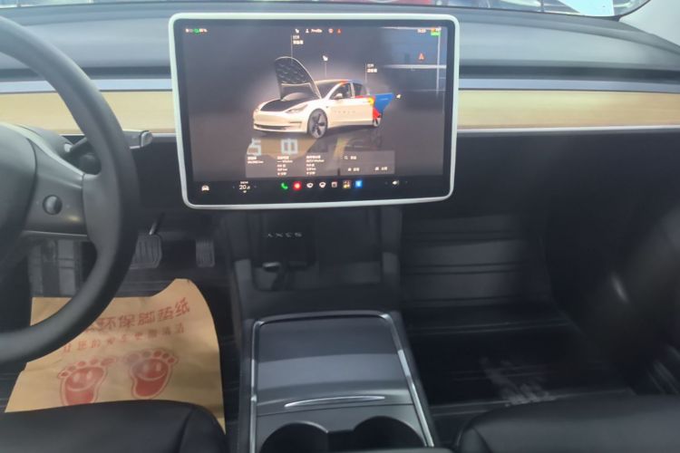 Tesla Model 3 2022 car image #13