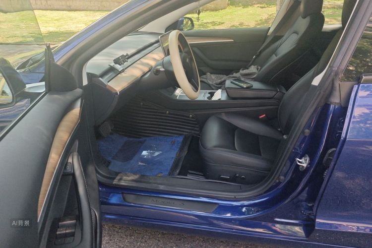 Tesla Model 3 2021 #18 Tesla Model 3 2021 car image #18