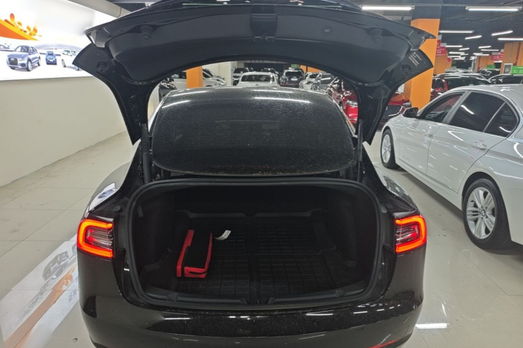 Tesla Model 3 2022 immagine di auto #19
