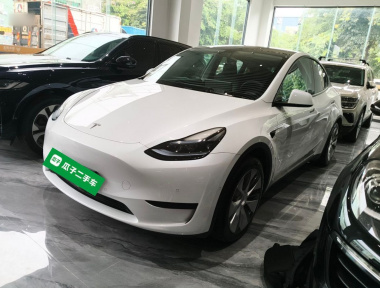 Tesla Model Y 2023 car image 