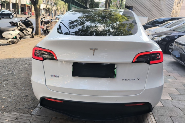 Tesla Model Y 2022 #6 Tesla Model Y 2022 car image #6