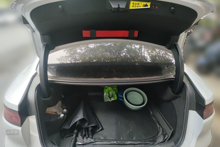 BYD Han 2024 imagen de coche #21