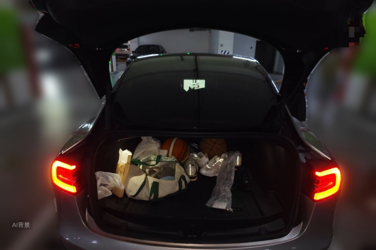 Tesla Model 3 2023 car image #21
