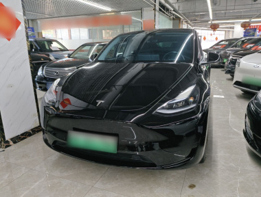 Tesla Model Y 2023 Tesla Model Y 2023 car image