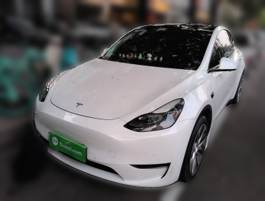Tesla Model Y 2021 Tesla Model Y 2021 car image