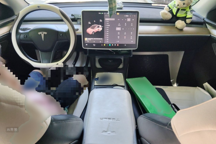 Tesla Model Y 2022 car image #11