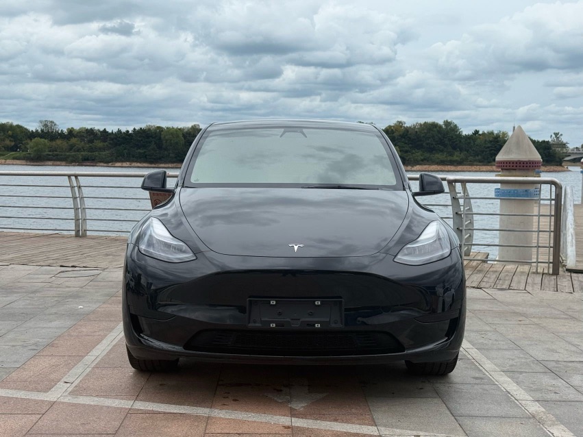 Tesla Model Y 2022 car image #2