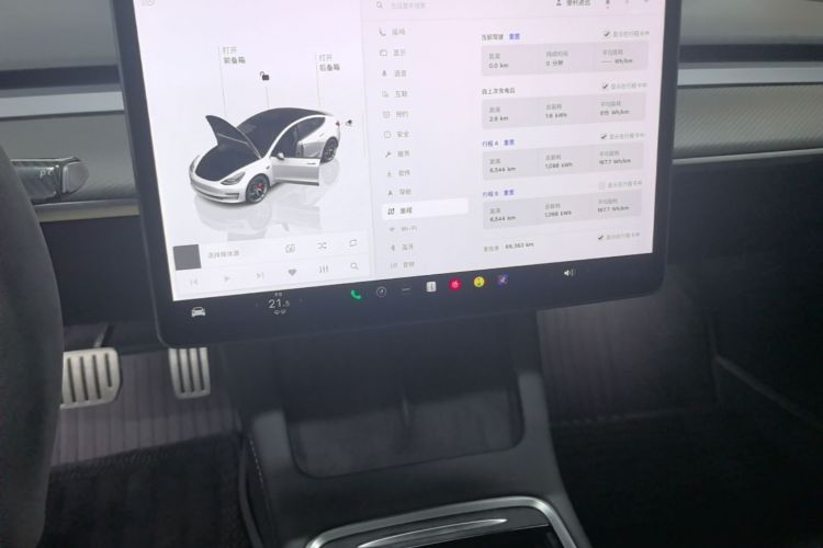 Tesla Model 3 2022 immagine di auto #13