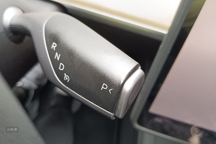 Tesla Model Y 2023 #16 Tesla Model Y 2023 car image #16