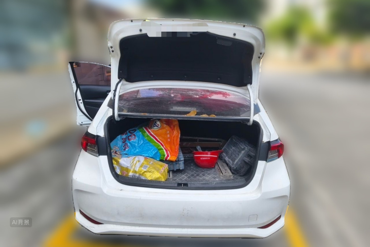 Toyota Corolla 2020 car image #21