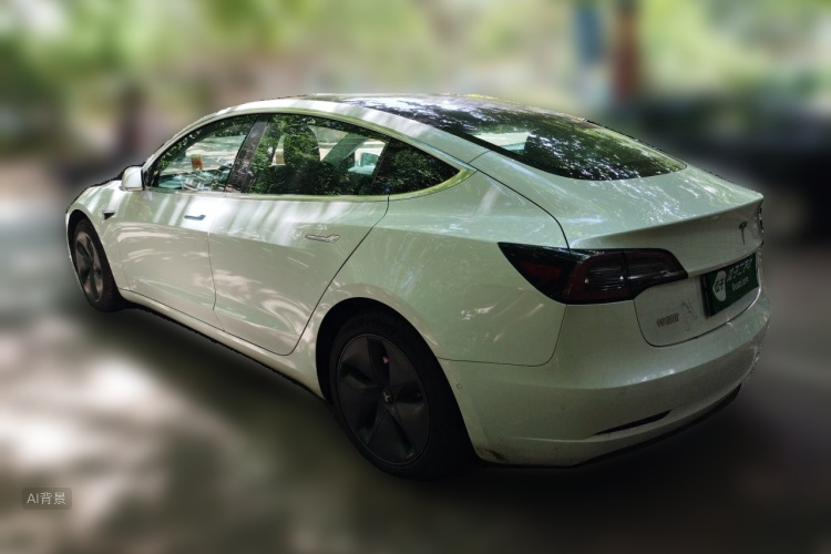Tesla Model 3 2020 immagine di auto #5